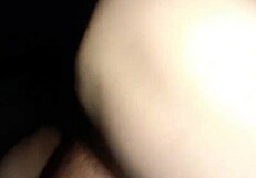 Thirteen Exciting Adventures