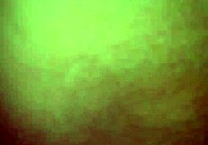 engaging in oral activities with a partner in a casual setting