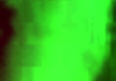 I wank with my squishy toy