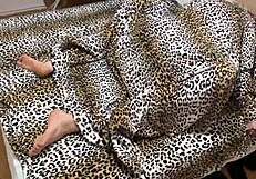 Young stepsister proves my straightness with intense doggystyle and missionary creampie