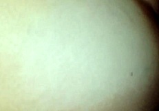 Giving that BBW my hard dick feels so good