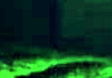 can alaina dawson handle a creampie on the teacher's desk?