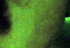 Video captured on January 25, 2018 at 4:42 AM