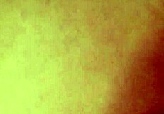 latina shares her love for white culture part 2