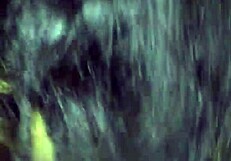 Ebony Amateur Sucks Cock with Intense Passion