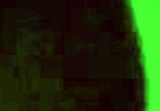 Japanese Babe Bound in Public Toilet for Creampie Blowjob