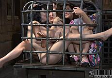 i delight in giving a hot blowjob to my thrall