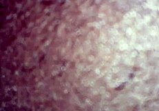 Little Black Ass Friend Craves Big Cock Creampie