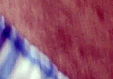 personal video from 2016