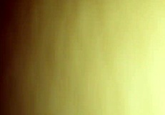 cojiendo de a perrito with hot wife in anal action