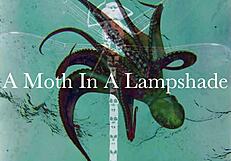 dark lantern entertainment presents the dragonfly in the scottish highlands