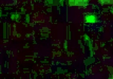 Latina Bride Rides Husband in Wedding Night Passion