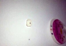 Bold Action with Sexy Fucking in Hot Scene