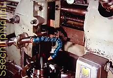 early morning intimacy with wife in summer