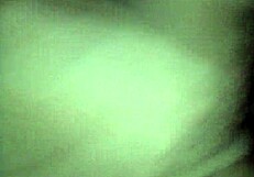 यंग मैक्सिकन बेब डॉगीस्टाइल सोलो चुदाई