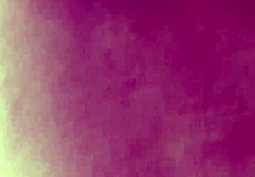 want to try anal at home?