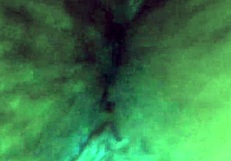 Carrot party turns wild with intense anal pain!