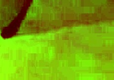 Playing Alone With My 22cm Dildo In The Bedroom