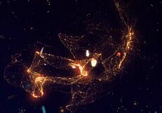 Horny Latina Gets Doggystyle Creampie With Couple