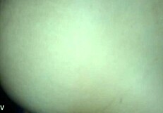 I Fuck the Sexy Milf Maid