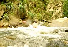 waiting for an alpha male to make me feel like a woman