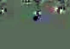 i watch milf latina amateur getting fucked in mayan stockings in miami florida