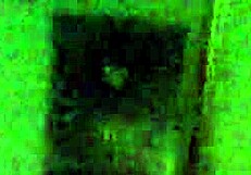 huge tits girlfriend sucking my cock