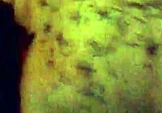 Watch This Married Amateur Get Her Ass Fucked Hard!