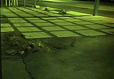 Big Tit Fuck Slave Shagadelic B!