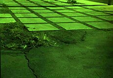 Big Tit Fuck Slave Shagadelic B!