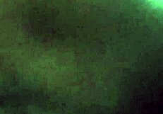 She just can't get enough of that cum, swallowing it all down 😋