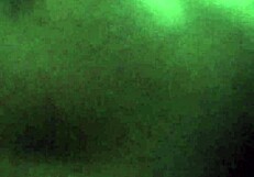 She just can't get enough of that cum, swallowing it all down 😋