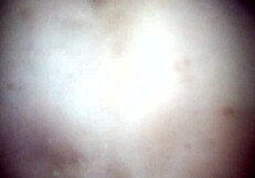 that 24cm thick construction worker is devouring me deep in the factory