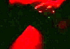 is your wife giving pussy at the gloryhole in barra da tijuca swing house?