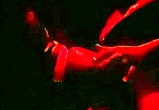 is your wife giving pussy at the gloryhole in barra da tijuca swing house?