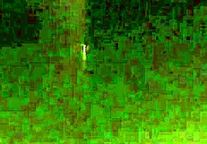 My sister-in-law and I sharing intimate moments