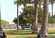 Gay Men Engage in Sexy Sexual Activities