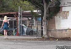 Teen girls everywhere engaging in sex with big tits