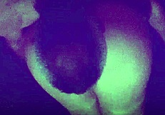 Violet Love Private Tape Amateur Pussy Creampie Anal