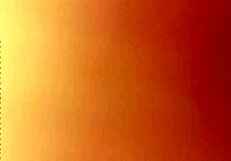 Exploring gay experiences