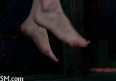 Free Punishment Themes Explored in Detail