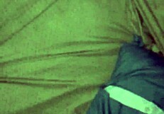 Have you seen these big ass back shots?