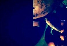 ebony bbw amateurs fucking hard in homemade scene