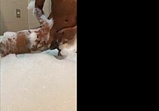 i watch the ebony babe twerk her big ass wet in the bathtub while masturbating