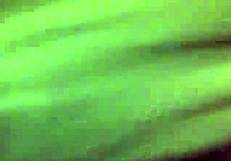 Ebony BBW woman in a trim video clip