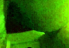 Ebony BBW woman in a trim video clip