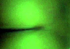 Is My Girl Bent Over in Doggystyle, Creaming on My Cock?