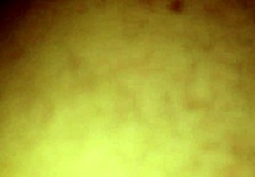 subtle demeaning of a naughty pussy