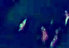 i love fucking rough amateurs with my big cock, but sometimes i mess up the words