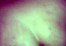 Have you seen this mexican beauty bent over in doggystyle, teasing with every thrust?